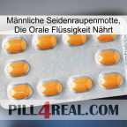 Männliche Seidenraupenmotte, Die Orale Flüssigkeit Nährt cialis3